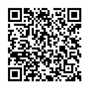 黑色奥迪大约在林间小道上跑了两华里的距离后二维码生成