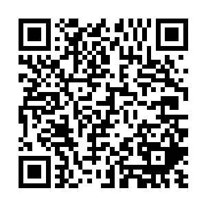 黑色小人带着四百九十八只妖王境飞火蚁出现在身前二维码生成