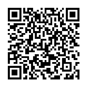 黑色巨蟒冷笑着的声音传入到了孙子轩的脑海当中二维码生成