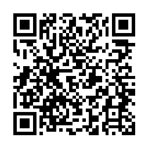 黑色巨蟒快要被孙子轩这转来转去的转折给弄崩溃掉了二维码生成