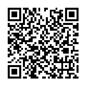 黑色巨蟒显然是属于根本不了解孙子轩的范围中的二维码生成