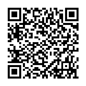 黑色毒蟒那强壮有力的两条前腿都实在是太短了二维码生成