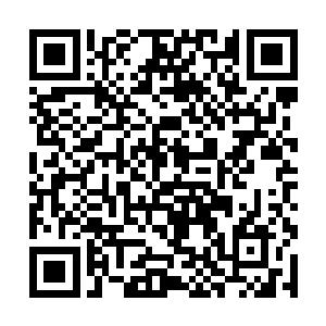 黑色的巨指上面也瞬间布满了无数的密密麻麻的裂痕二维码生成