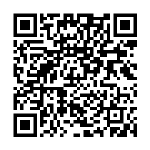 黑色的杀气顿时化作五道气柱涌入了苏狂徒的体内二维码生成