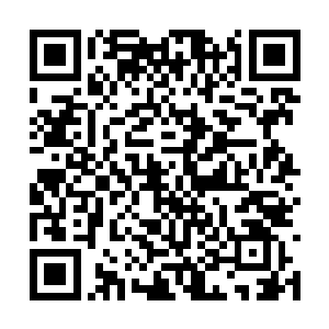 黑色的紧身衣将她凹凸有致的身躯完全遮挡了起来二维码生成