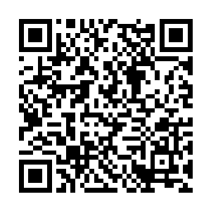 黑蛟的那只硕大无朋的巨首顿时出现在了湖面之中二维码生成