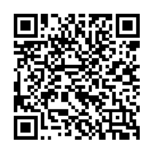 黑衣人很快的发现自己竟然已经陷入了定国王府高手的包围之中二维码生成