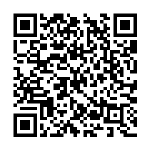 黑衣大汉身后的下个小弟对着柯震骂骂咧咧地叫道二维码生成