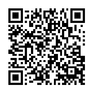 黑衣左使施展小魔劫手好像变的更加的随心所欲了二维码生成