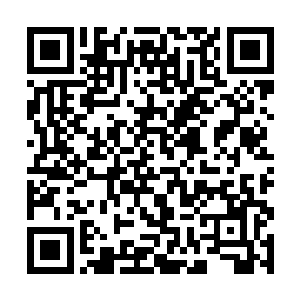 黑衣老者也对着周围的那二十玄苍派的弟子大喝一声二维码生成