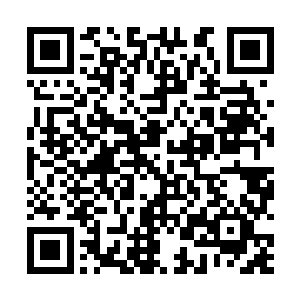 黑铁之堡这些年积攒下来的1149颗烈焰红莲的莲子二维码生成