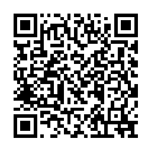 黑骷髅根本来不及发出次声波来抵消蛟蛇的攻击二维码生成