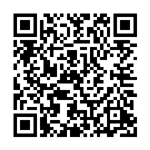 黑鲨妖王突然想到一处尚未被仔细搜寻过的地方二维码生成