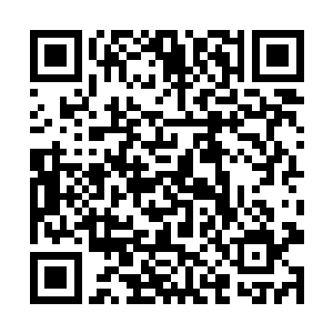 黑龙依扎卡不得不和马文签订了一系列不平等的条约二维码生成