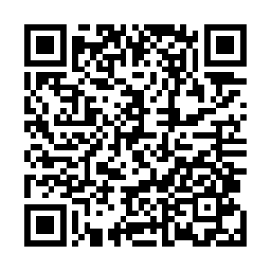 黑龙江最大的城市哈尔滨如今所有的建筑都已经毁于战火二维码生成