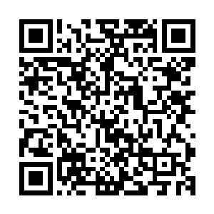 黛娜老师最常见的装扮就是下身穿及膝的短裙或紧致的包臀裙二维码生成