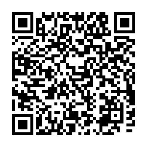 黛玻菈还保证会在第一年内为卢卡斯带来不少于两百万欧元的税前代言收入二维码生成
