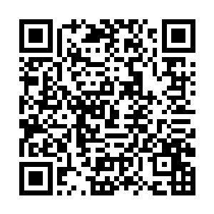 鼎钺部落……包括人面鲲鹏都弄不明白这队人的打算二维码生成