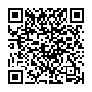 鼻孔的鲜血如同打开的水龙头一般哗啦哗啦的流个不停二维码生成
