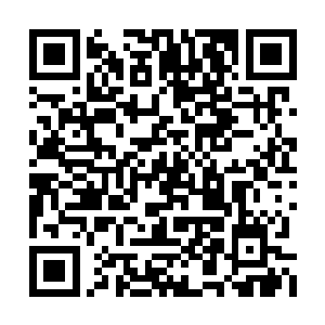 鼻尖带着几滴晶莹的小汗珠让蒙恬显得比较可爱二维码生成