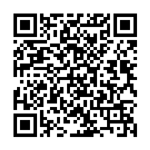 齐一铭在多米尼克说完的两秒钟之后立刻也大声的说道二维码生成