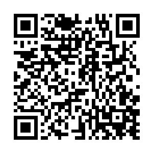 齐修远不愿意将最没有保护力的小宝和小熊推到前面二维码生成