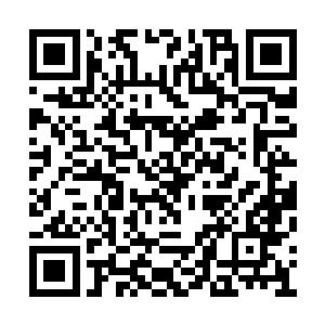 齐修远只当弟弟是好玩却没本钱才伸手与他要钱二维码生成