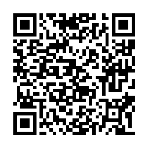 齐修远直接伸手捏住树下小安的耳朵把他揪出来二维码生成