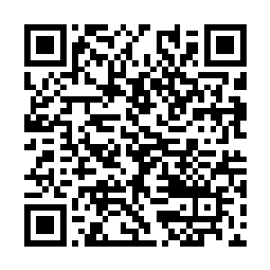 齐修远瞥了一眼还一无所知兴奋得手舞足蹈的弟弟二维码生成