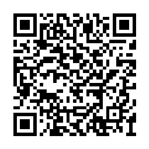 齐修远见了弟弟之后没有先探究那布防图的真假二维码生成