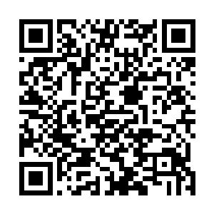 齐天门中有齐州境内众多豪门大族的家族子弟在里面学艺二维码生成