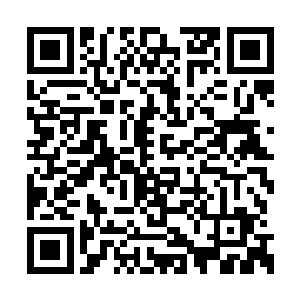 齐家军这边就拿着齐浩然的飞鸽传书大声念出来二维码生成