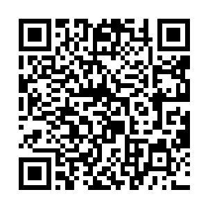 齐帅之所以可以占据一些优势正是因为他的拳法特殊二维码生成