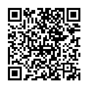 齐总一般都会很细心地安排人给你的邮箱单独发一份资料的二维码生成