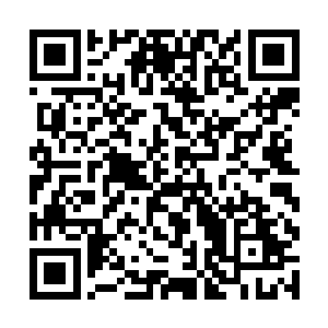 齐洁或许是唯一一个够资格在这件事情上说得上话的二维码生成