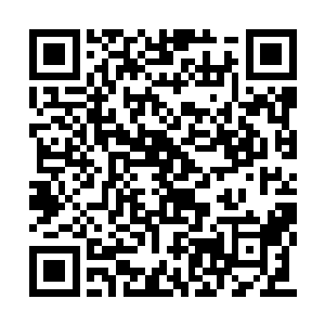 齐浩上官清杨晨赵羽等人看到两位长老顿时大喜二维码生成