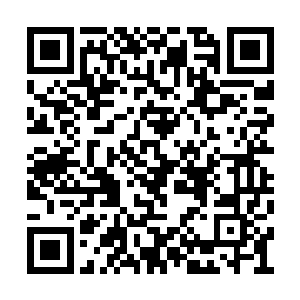 齐浩刚才使出三颗雷爆珠相当于三个化神期自爆二维码生成