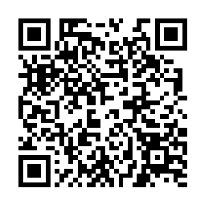 齐浩然和白大人也好奇的开了另一个窗口向外张望二维码生成