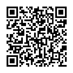 齐浩然和穆扬灵甚至教过小熊被俘虏后如何降低敌人戒备心二维码生成