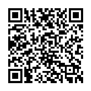 齐浩然和范子衿已经骑着马跑到前面去见皇帝了二维码生成