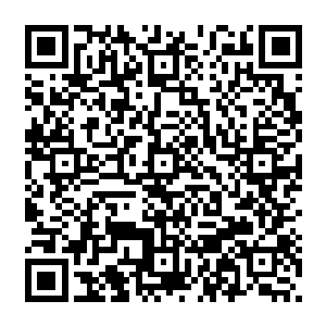 齐浩然和范子衿进来时看到的就是虎头和小狮子一人扛了一个孩子用轻功在院子里蹦来蹦去二维码生成