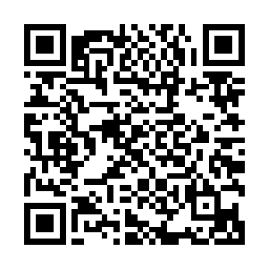 齐浩然就披了衣服捧着汤坐在小凳子上边喝边看着穆扬灵揉面二维码生成