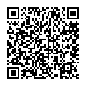 齐王早晚有一日会有自己的儿子或是过继同自己血缘最接近的嗣子二维码生成