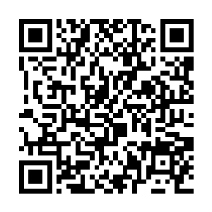 齐老带着朱随的名帖和江逸的密语去求见凌诗雅小姐二维码生成