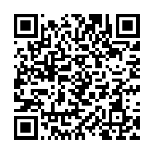 齐老怪把好东西藏在雄狮要塞或者野外的某个地方了二维码生成
