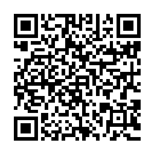 齐蓓蓓的突发奇兵一时间让市里边的注意力都集中在了她身上二维码生成