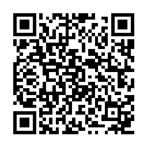 齐隆与赵骏两人磨磨蹭蹭想去拿那些精美的食物二维码生成