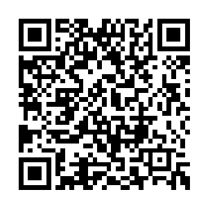 齐飞被一群人围在中间　轻松写意的走进了廊道二维码生成