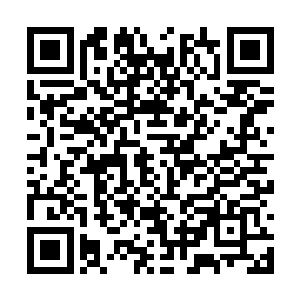 齐齐的向白兰问好――虽然他这两年都蹲在了日本二维码生成