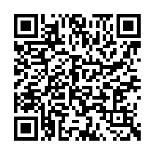 龙一定可以击败甚至是击杀对面的那只尖啸怨灵二维码生成